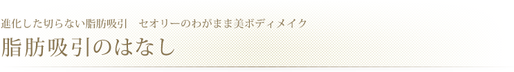 進化した切らない脂肪吸引 セオリークリニックのわがまま美ボディメイク施術内容