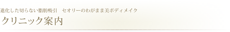 進化した切らない脂肪吸引 セオリークリニックのわがまま美ボディメイククリニック案内