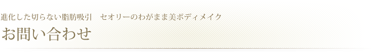 進化した切らない脂肪吸引　セオリーのわがまま美ボディメイク　オンライン予約