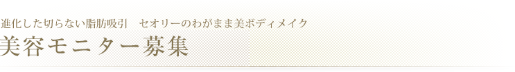 進化した切らない脂肪吸引　セオリーのわがまま美ボディメイク　オンライン予約