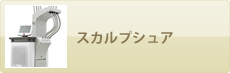 スカルプシュア