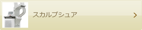 スカルプシュア