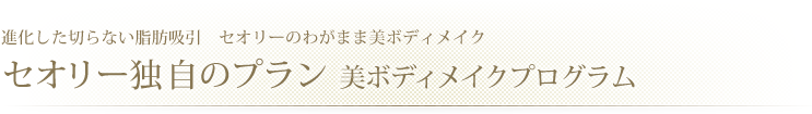 進化した切らない脂肪吸引 セオリーのわがまま美ボディメイク