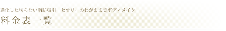 進化した切らない脂肪吸引　料金表一覧