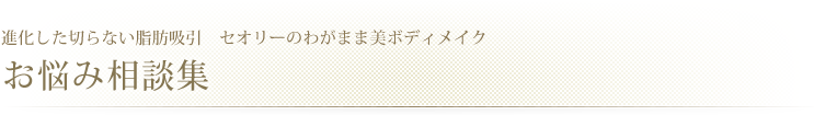 進化した切らない脂肪吸引 セオリークリニックのわがまま美ボディメイク症例ギャラリー