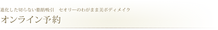 進化した切らない脂肪吸引　セオリーのわがまま美ボディメイク　オンライン予約