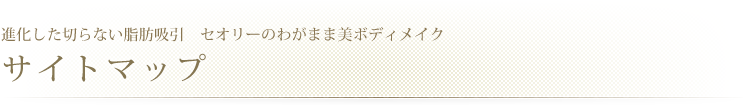 進化した切らない脂肪吸引　サイトマップ