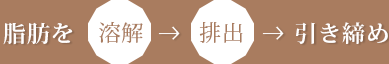 脂肪を溶解→排出→引き締め