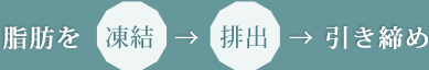 脂肪を凍結→排出→引き締め