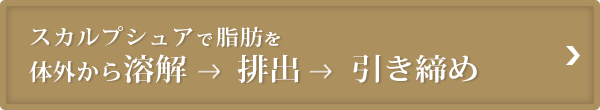 スカルプシュア