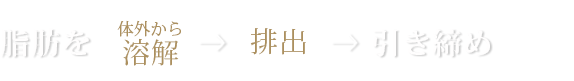 脂肪を加熱→破壊→引き締め