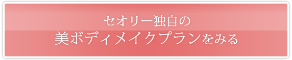 セオリー独自の美ボディメイクプランをみる