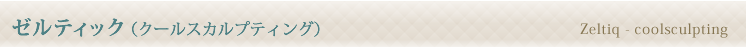 ゼルティック（クールスカルプティング）