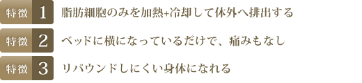 特徴1.脂肪細胞のみを加熱+冷却して体外へ排出する　特徴2.ベッドに横になっているだけで、痛みもなし　特徴3.リバウンドしにくい身体になれる