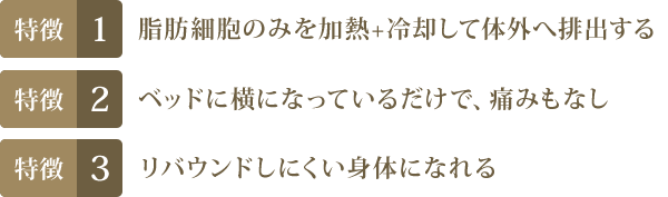 特徴1.脂肪細胞のみを加熱+冷却して体外へ排出する　特徴2.ベッドに横になっているだけで、痛みもなし　特徴3.リバウンドしにくい身体になれる