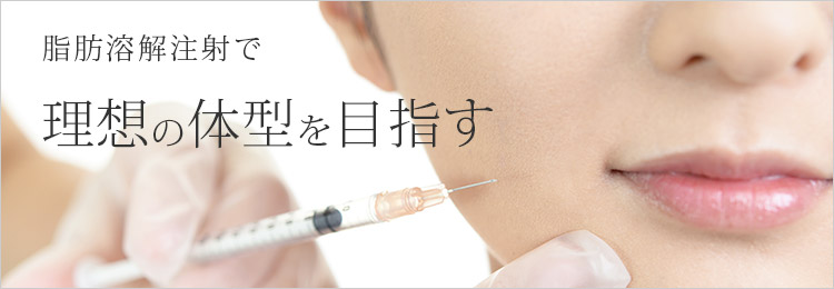 脂肪溶解注射で理想の体型を目指す