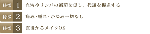 特徴1.脂肪細胞のみを加熱+冷却して体外へ排出する　特徴2.ベッドに横になっているだけで、痛みもなし　特徴3.リバウンドしにくい身体になれる